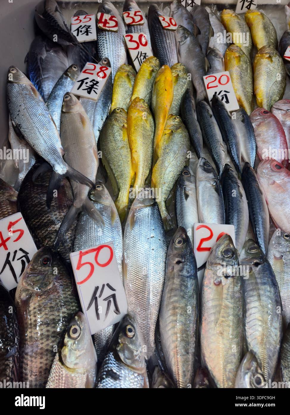 Fresh fish displayed at the market in Wan Chai, Hong Kong. - Smartphone Captured Stock Image