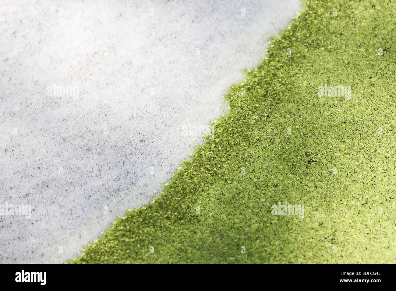 Top down view green moss powder texture on white background providing natural and calming feeling Stock Photo