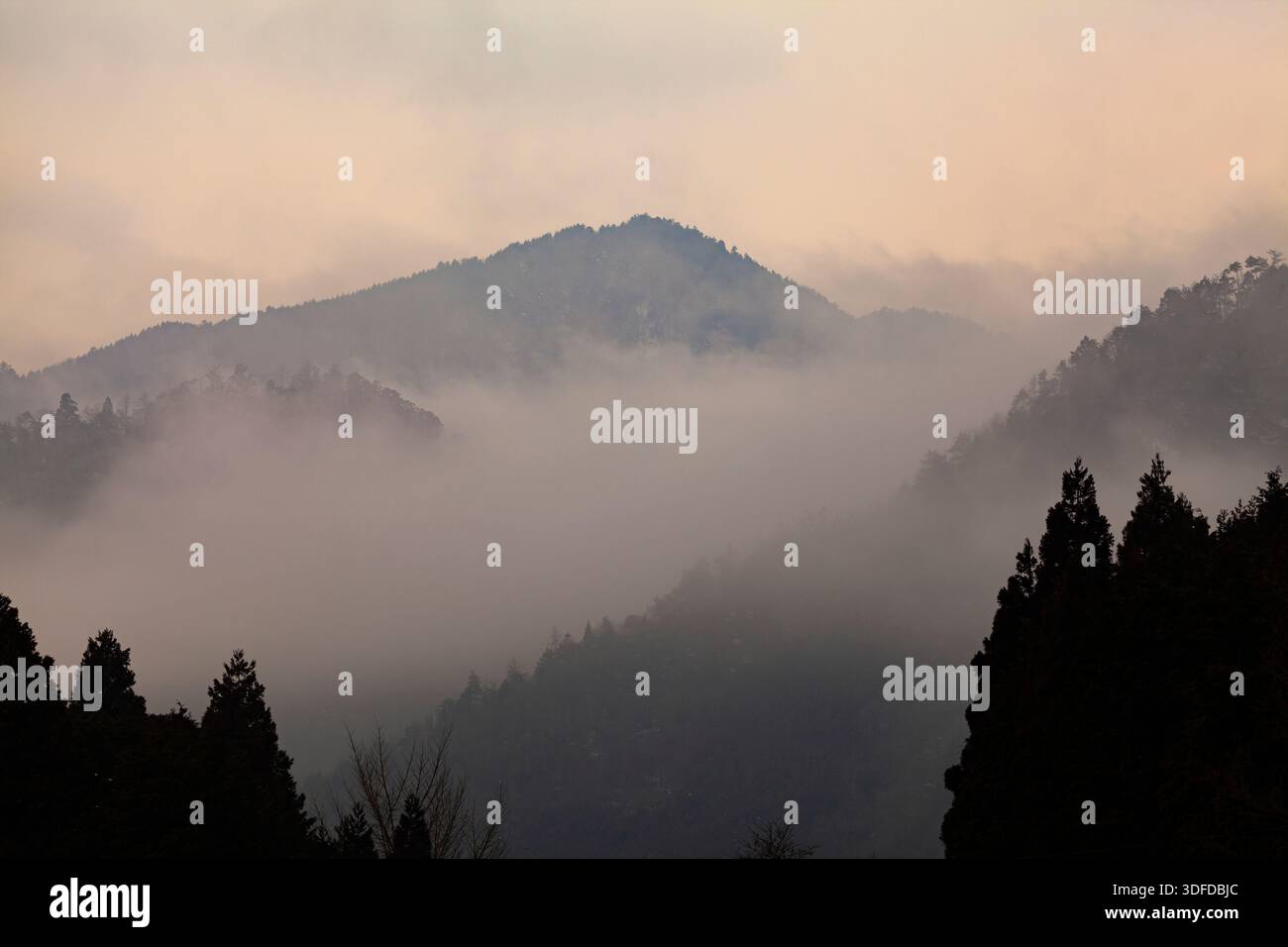 Enveloped in smoke hi-res stock photography and images - Alamy