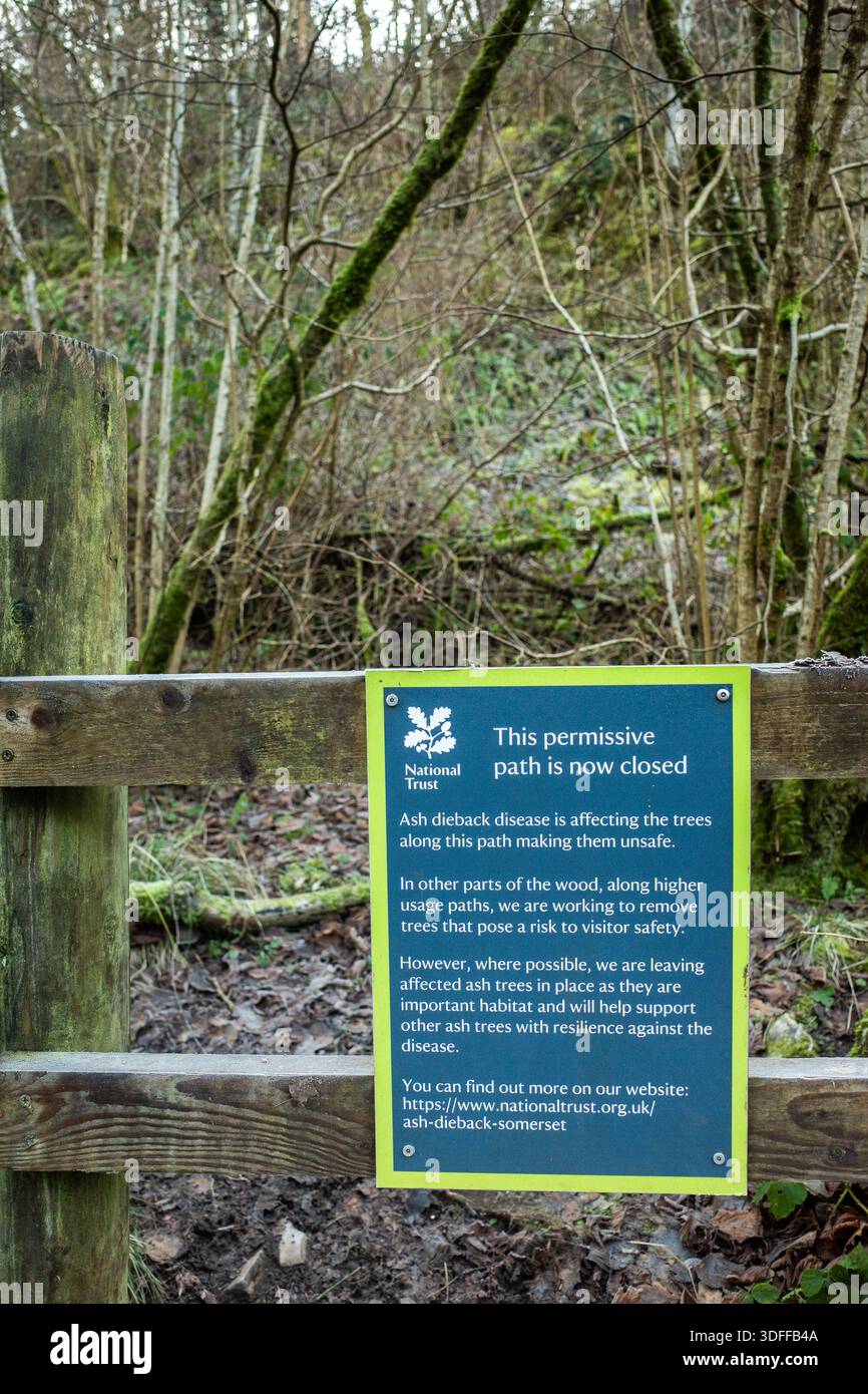 January 2026 - National Trust sign for closure of permissive path due ...