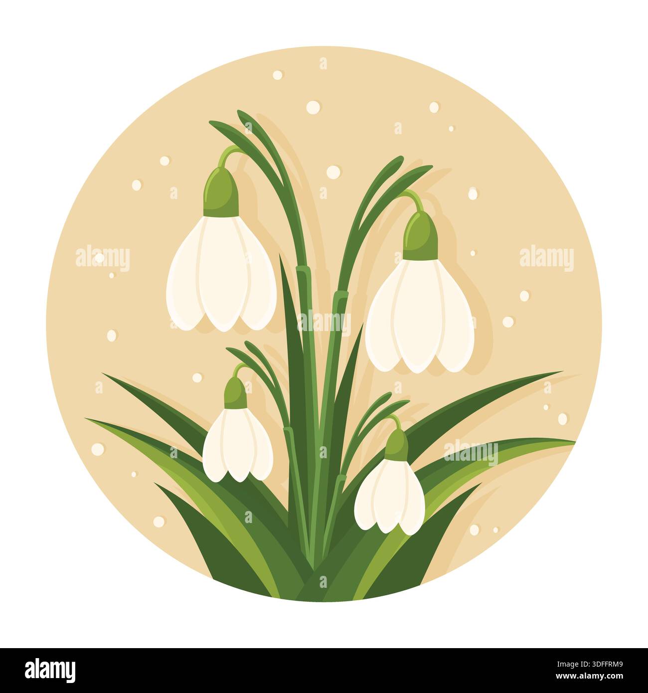 Spring snowdrops blooming in snow circle flat vector illustration isolated. Stock Vector
