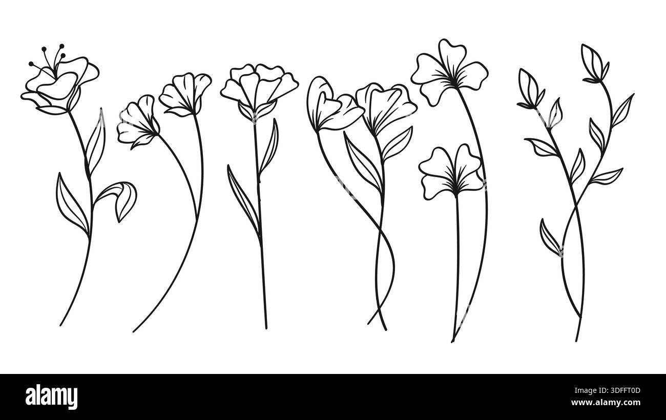 Flowers Line Art Hand Drawn Bundle Wildflower. Vector Illustration ...