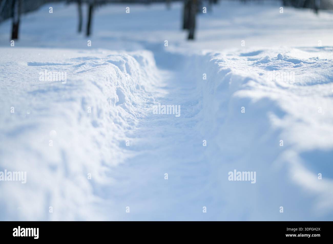 Snow-covered path with soft blurred background. Minimal winter scene, cold season texture, clean background with copy space Stock Photo