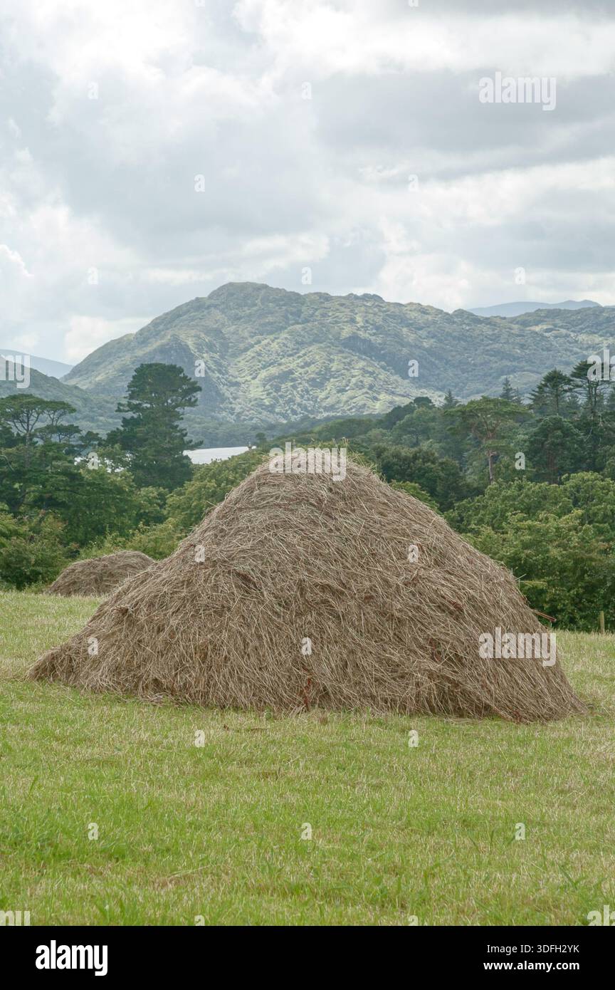Traditional hay storage hi-res stock photography and images - Alamy