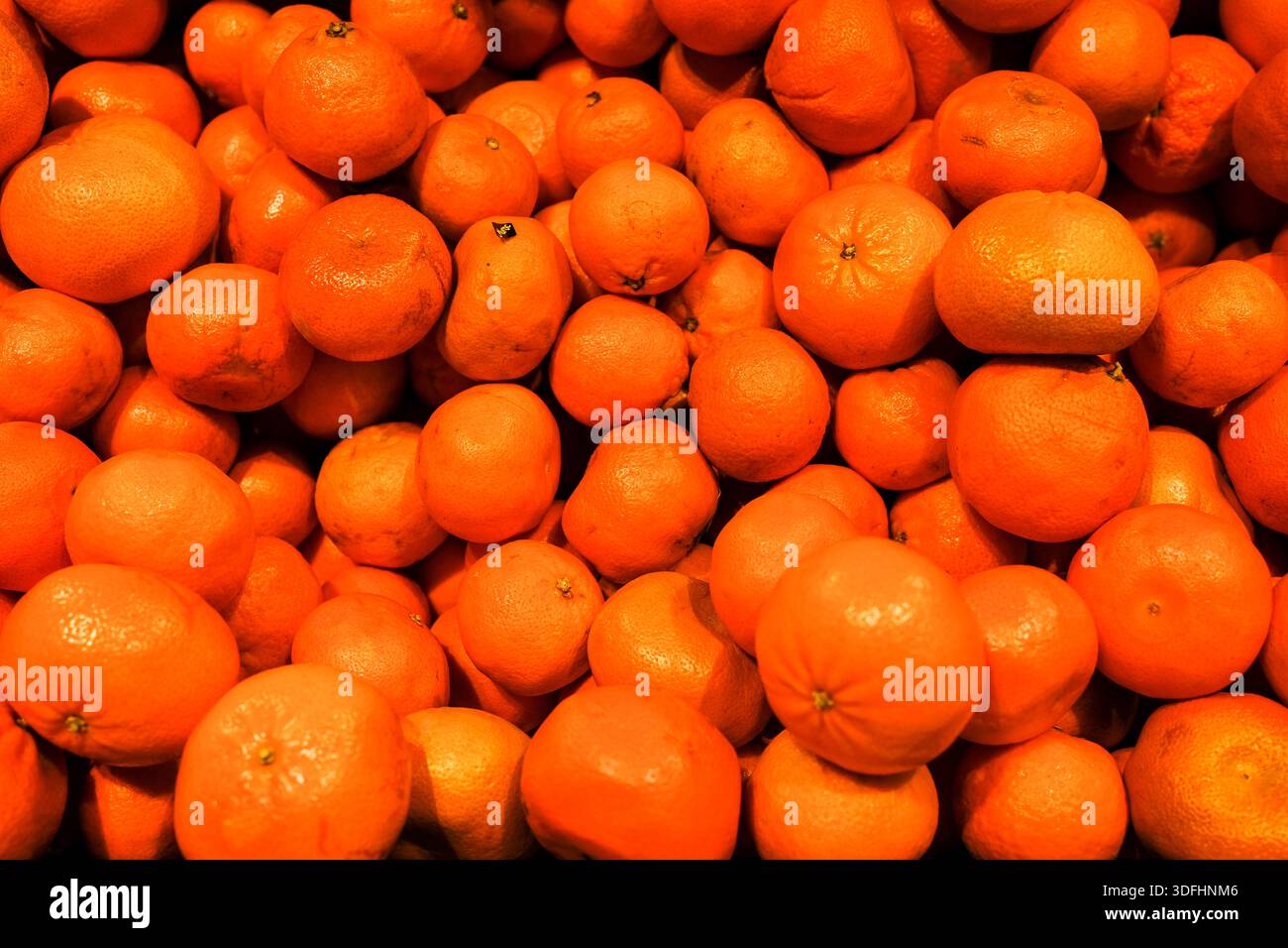 Fruits, vegetable and flowers. Stock Photo