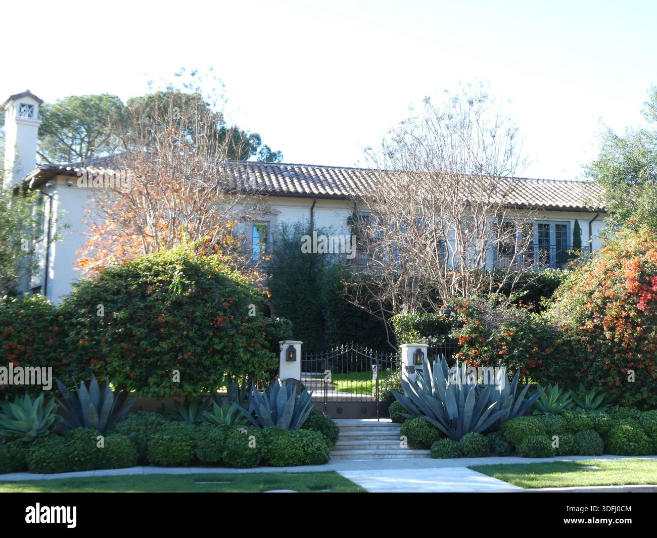 David Vi Los Angeles, California, USA 12th January 2026 Psychiatrist/Author ...