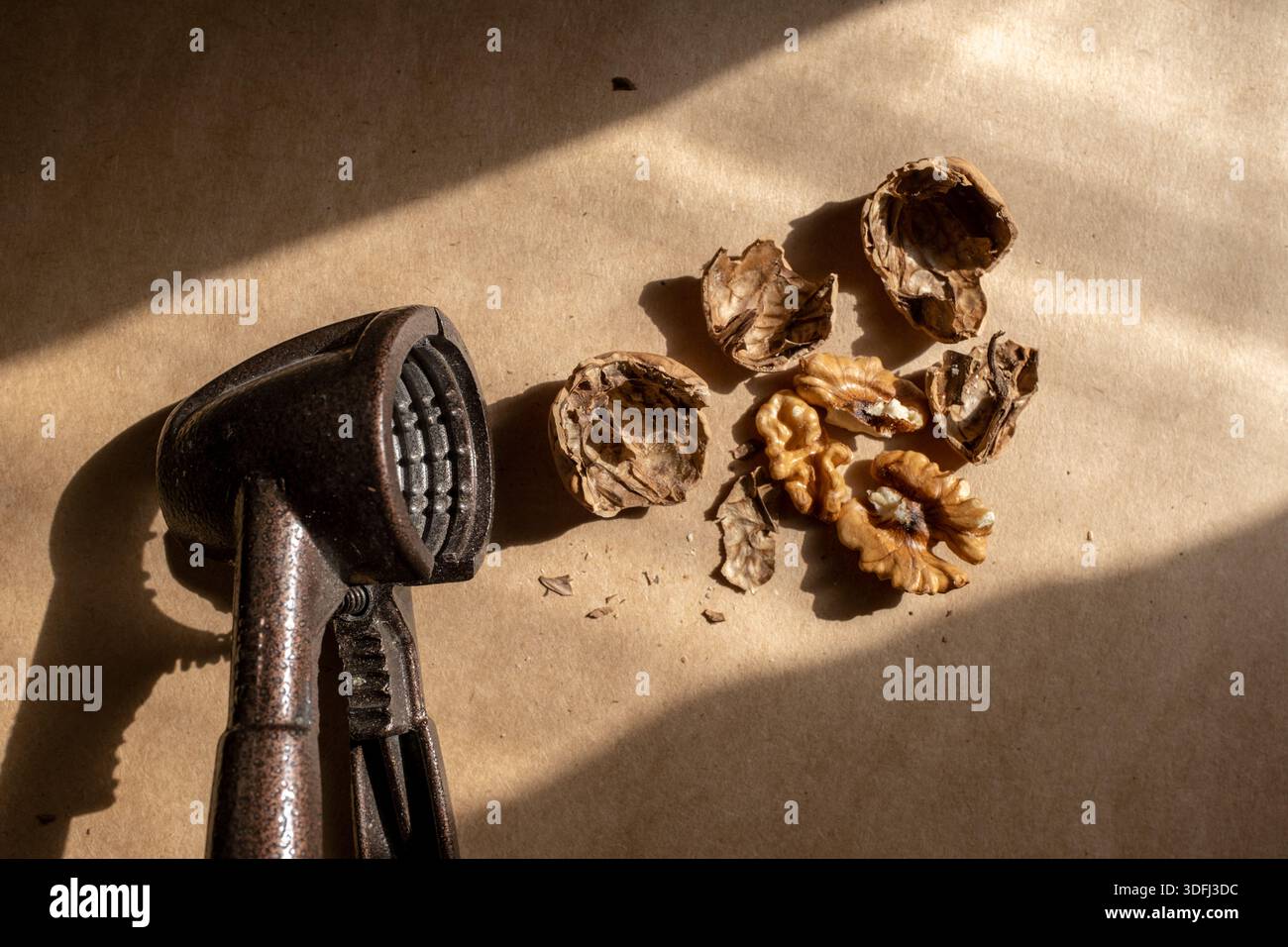 A vintage nutcracker beside broken walnut shells on a textured surface Stock Photo