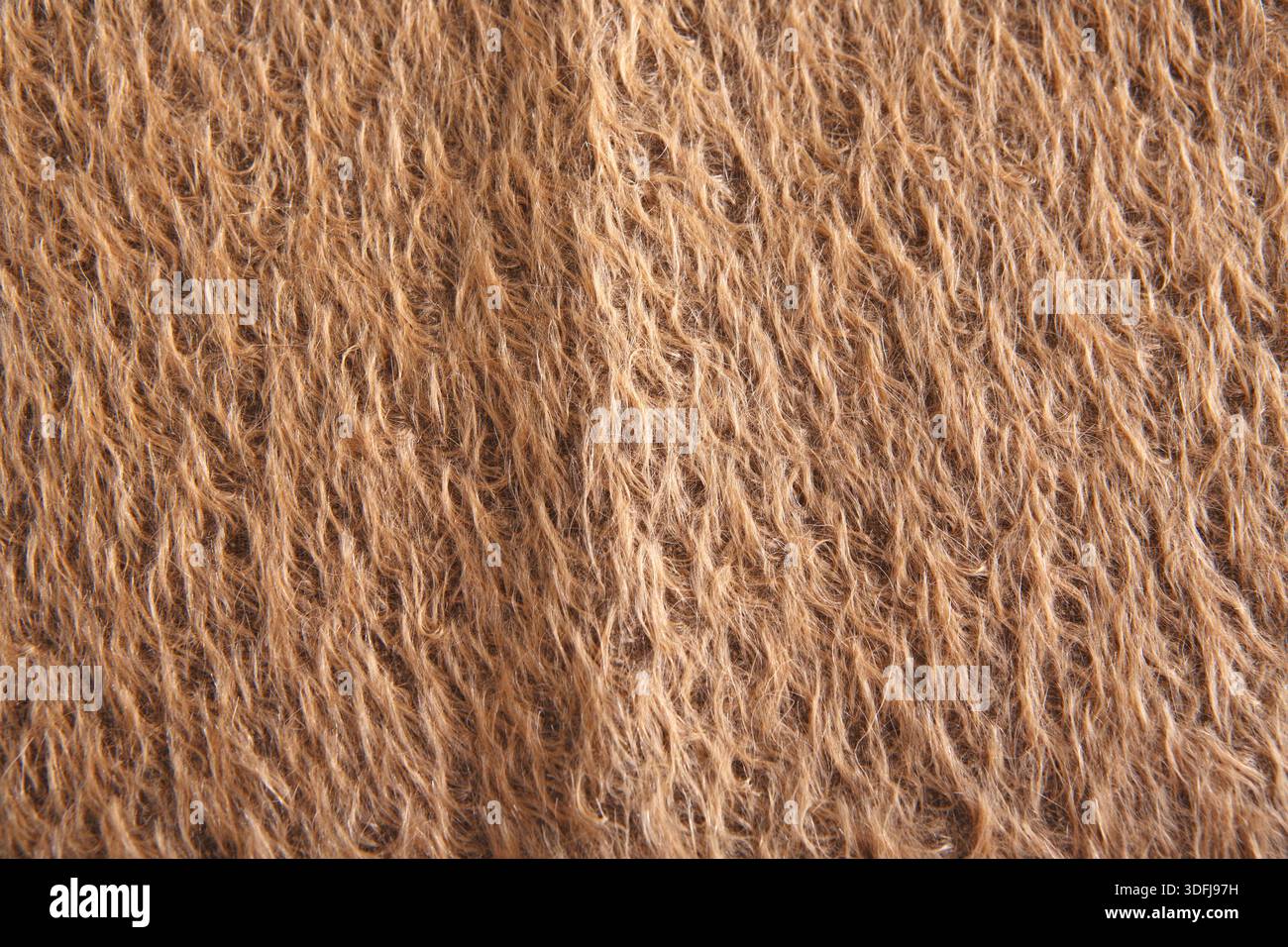 Angora wool hi-res stock photography and images - Alamy