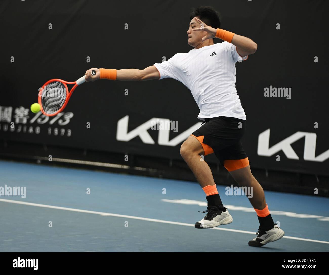 How to Follow Djokovic's 2024 Campaign
