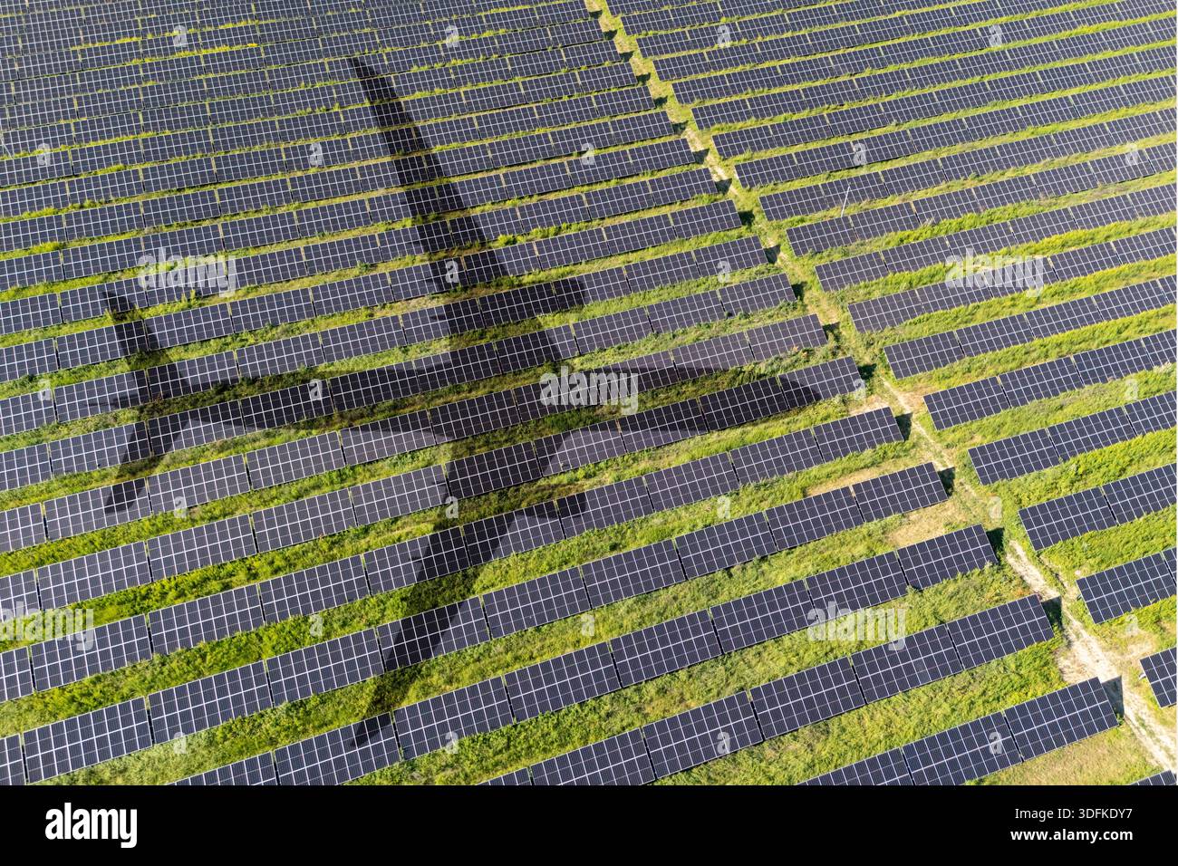 Aerial view of an airplane shadow cast across a solar panel field ...