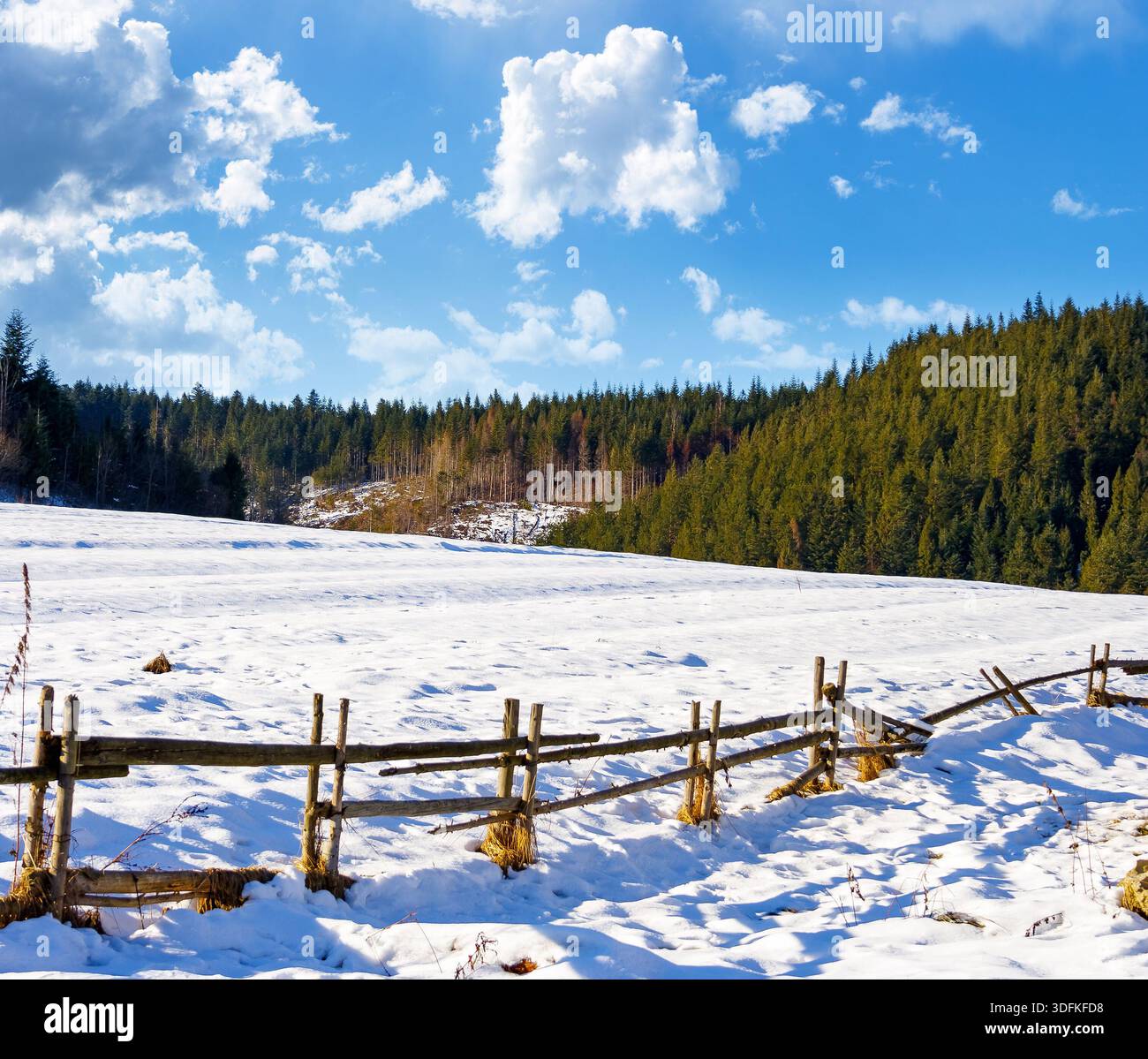 rustic wooden fence through snow covered hill. beautiful view on winter sunny morning in carpathian mountains. alpine village outskirts near forest in Stock Photo