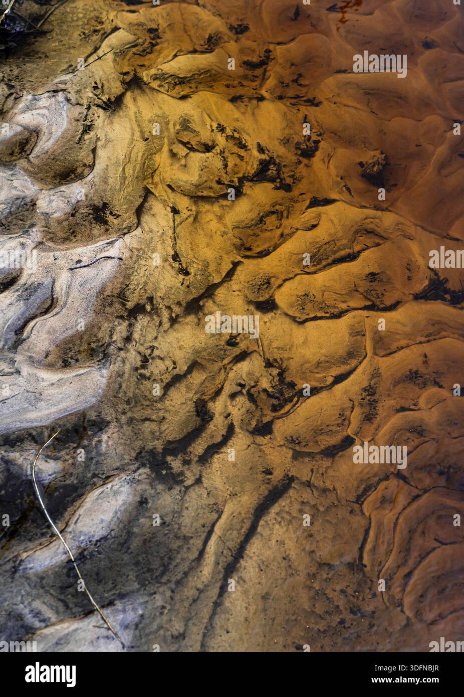 Sand patterns and stream textures in shallow water Stock Photo
