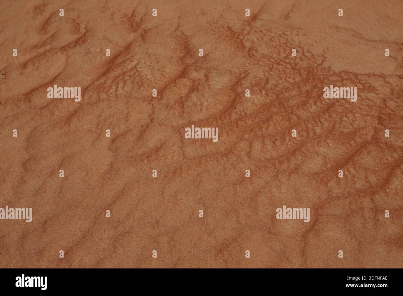Ripples in the Sand in the Desert  Wahiba Sands Sultanate of Oman Stock Photo