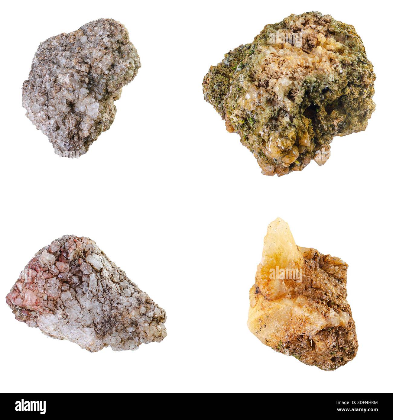 Four distinct specimens hi-res stock photography and images - Alamy