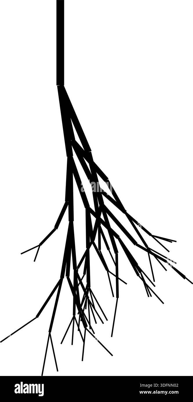 Root System Vectorgraph Graphic vector of an irregular and naturally spreading root system ...