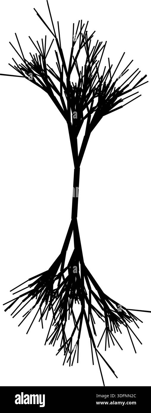 Root Loop Patterns Vector representation of a natural tree root system with organic ...