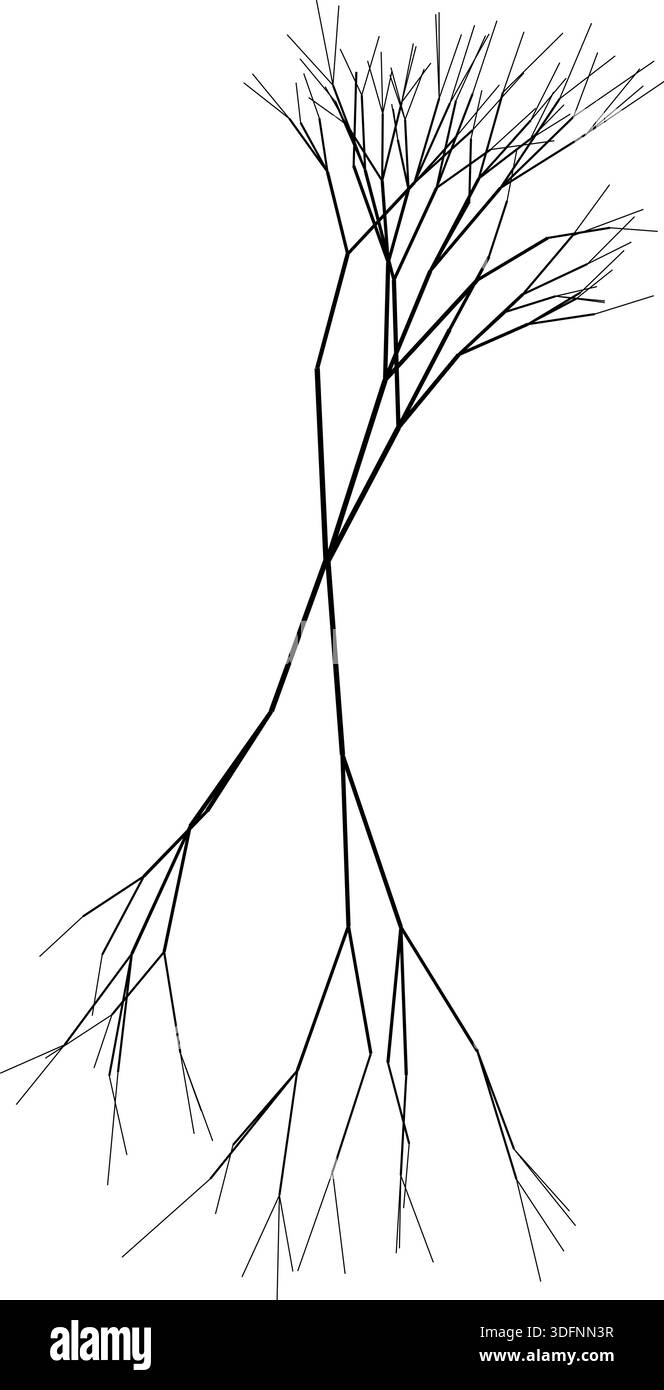 Branch Roots Vectors Stylized vector illustration of tree roots with detailed ink-like lines ...