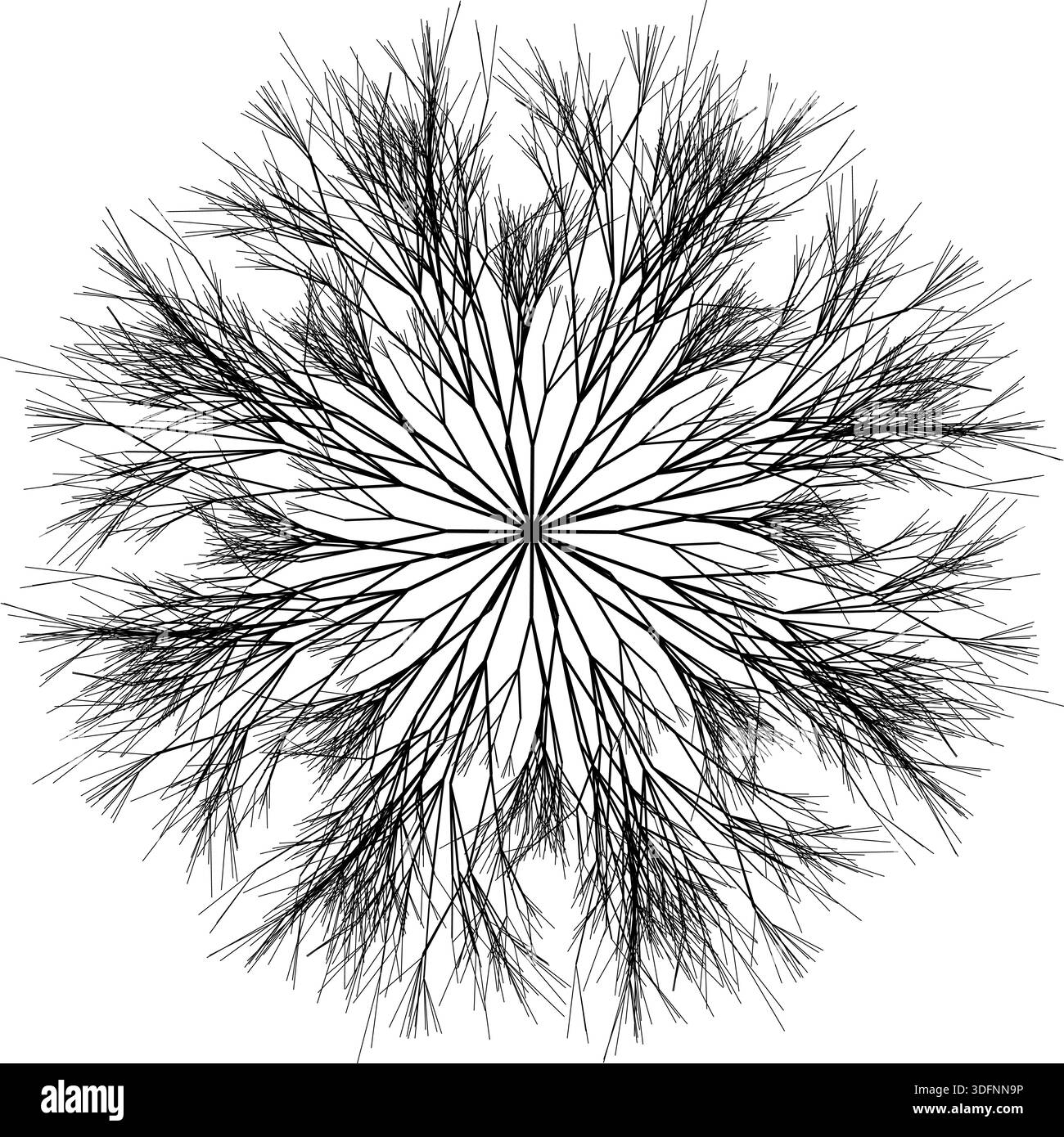 Tree Roots Mandala Mandala illustration of hanging tree roots forming a radial and ...