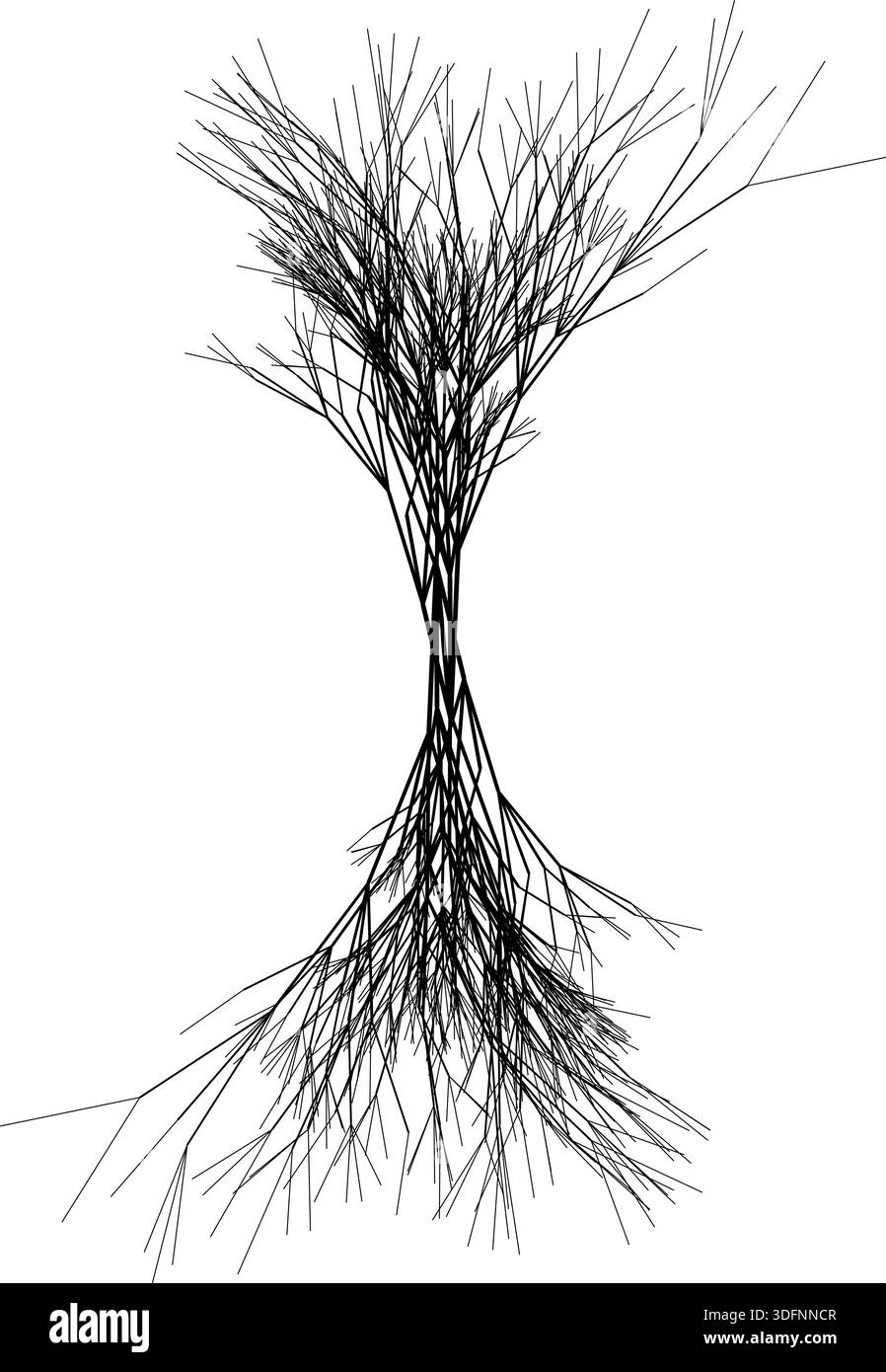 Branch Roots Vectors Vector depiction of tree roots resembling organic veins in a branching ...