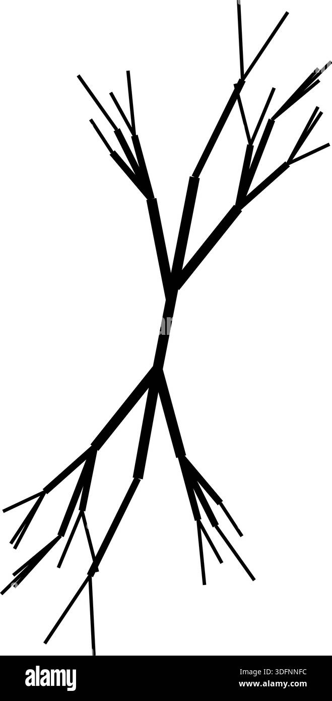 Branch Roots Vectors Black and white vector of thin, delicate tree root branches extending ...