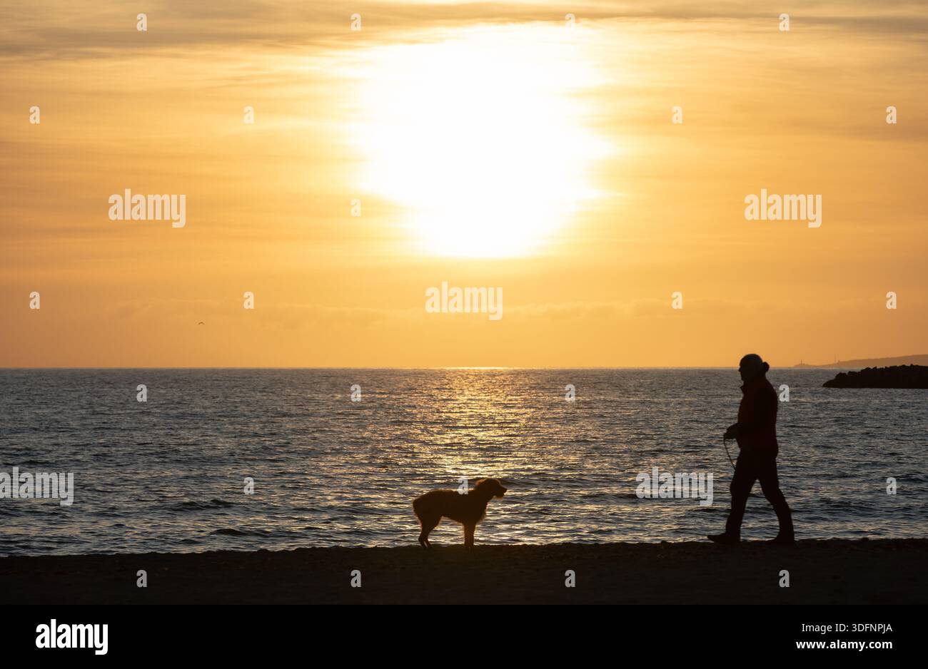 Palma, Spain. 13th Jan, 2026. A man and his dog walk along the sea at ...