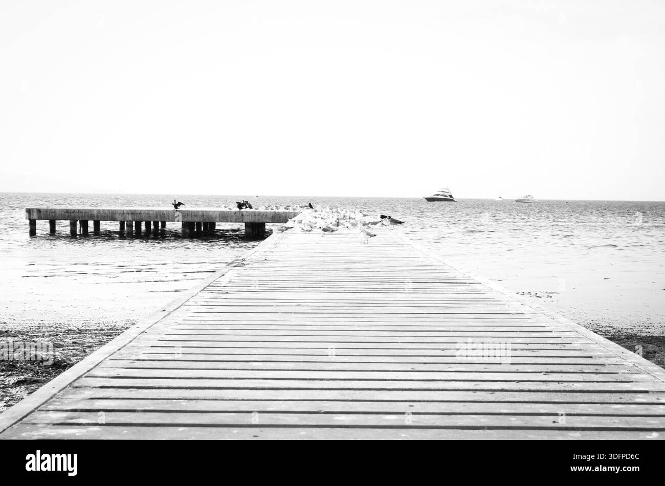 Boat point of view Black and White Stock Photos & Images - Alamy