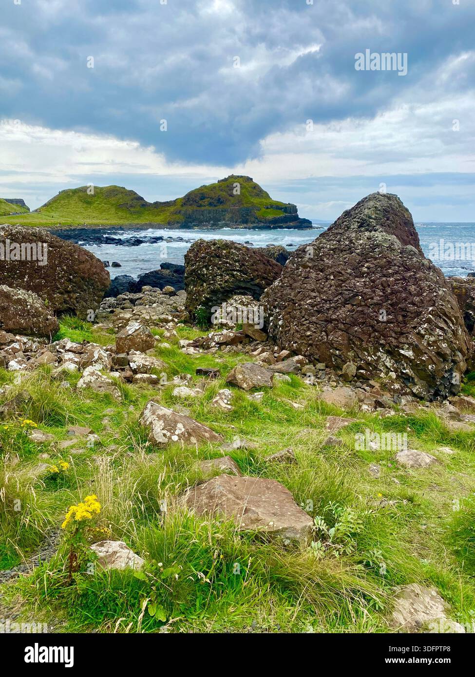 Hexagonal basalt rock formations at the Giant’s Causeway along the North Atlantic coast, Northern Ireland. - Smartphone Captured Stock Image