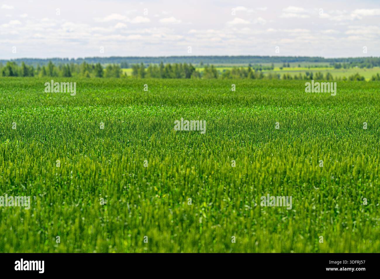 Evoking themes of harmony hi-res stock photography and images - Alamy