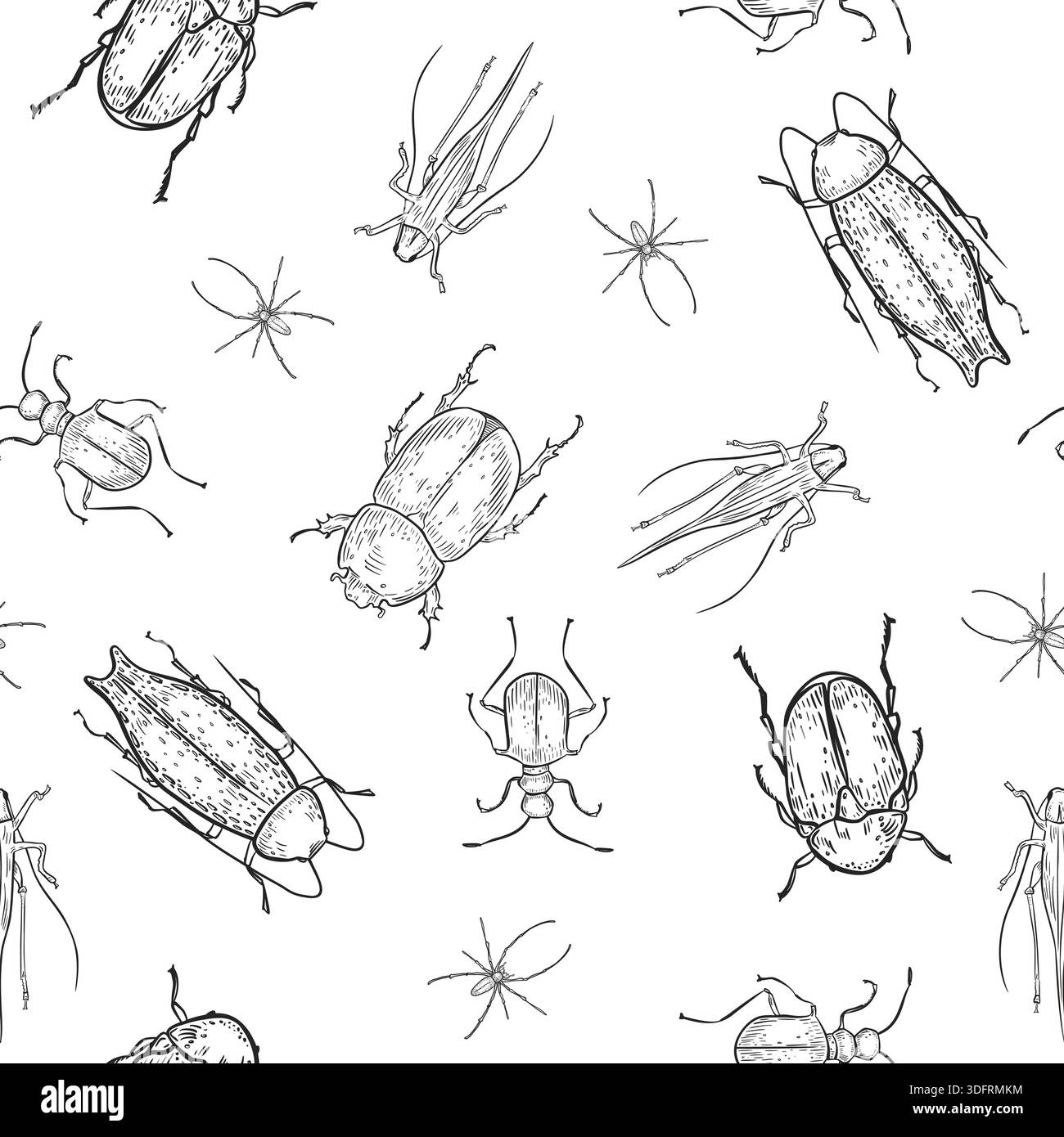 Realistic Insect Outlines Variety of insects and arachnids black white vector seamless pattern ...