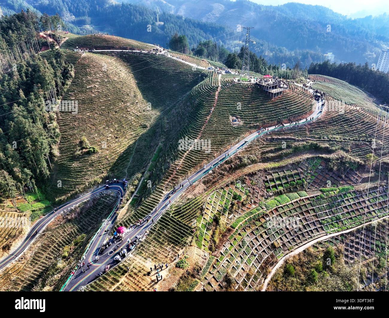 How is badminton driving economic growth in Jinping County? How is badminton driving economic growth in Jinping County?