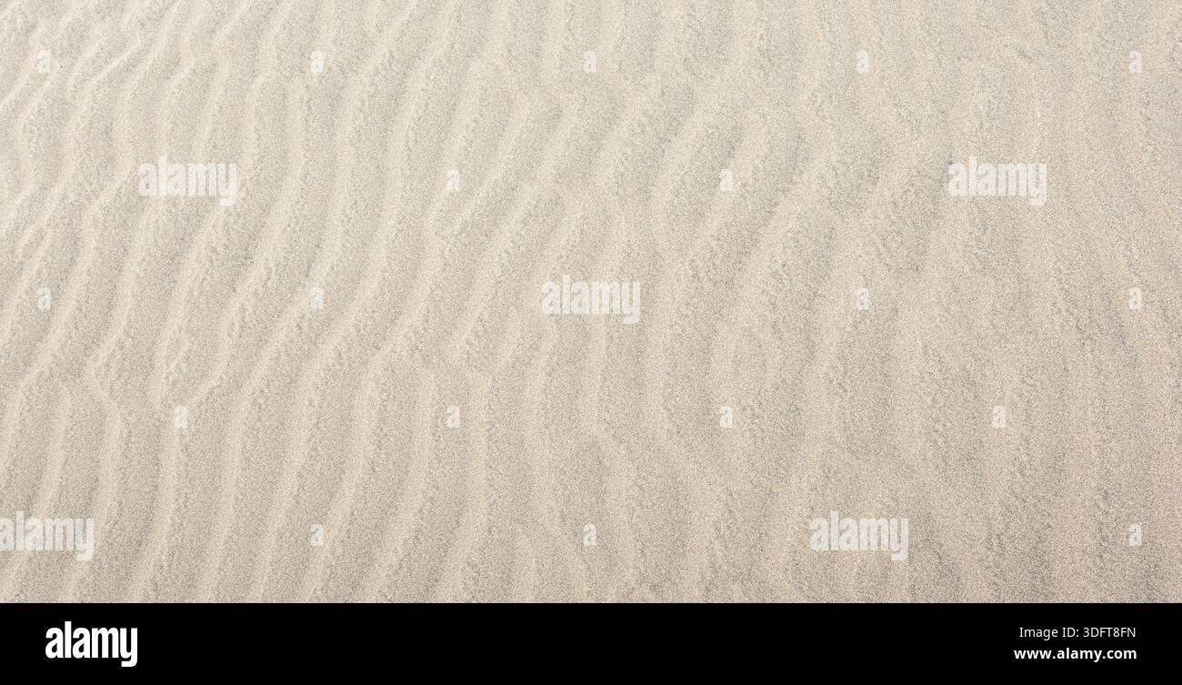 Wind creating beautiful wavy patterns in beige desert sand Stock Photo