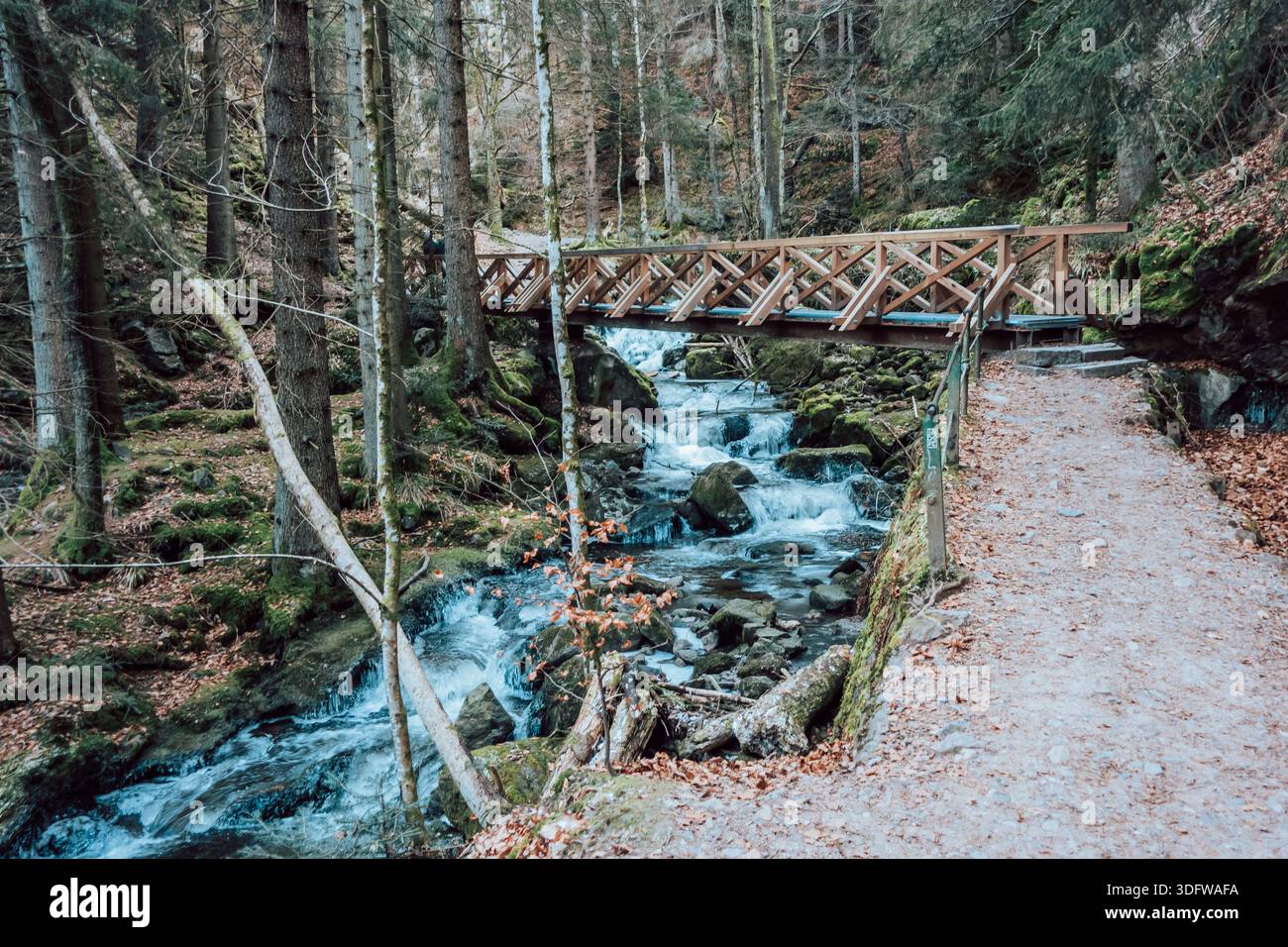 Gorgeous wild landscapes at the Ravenna Gorge in the Black Forest, Germany - Stock Image