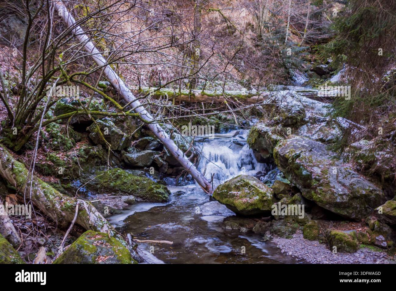 Gorgeous wild landscapes at the Ravenna Gorge in the Black Forest, Germany - Stock Image