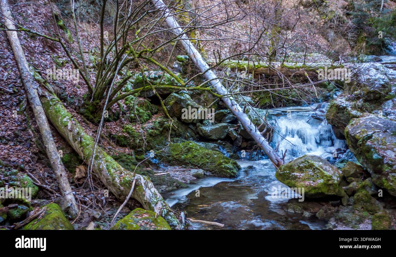 Gorgeous wild landscapes at the Ravenna Gorge in the Black Forest, Germany - Stock Image