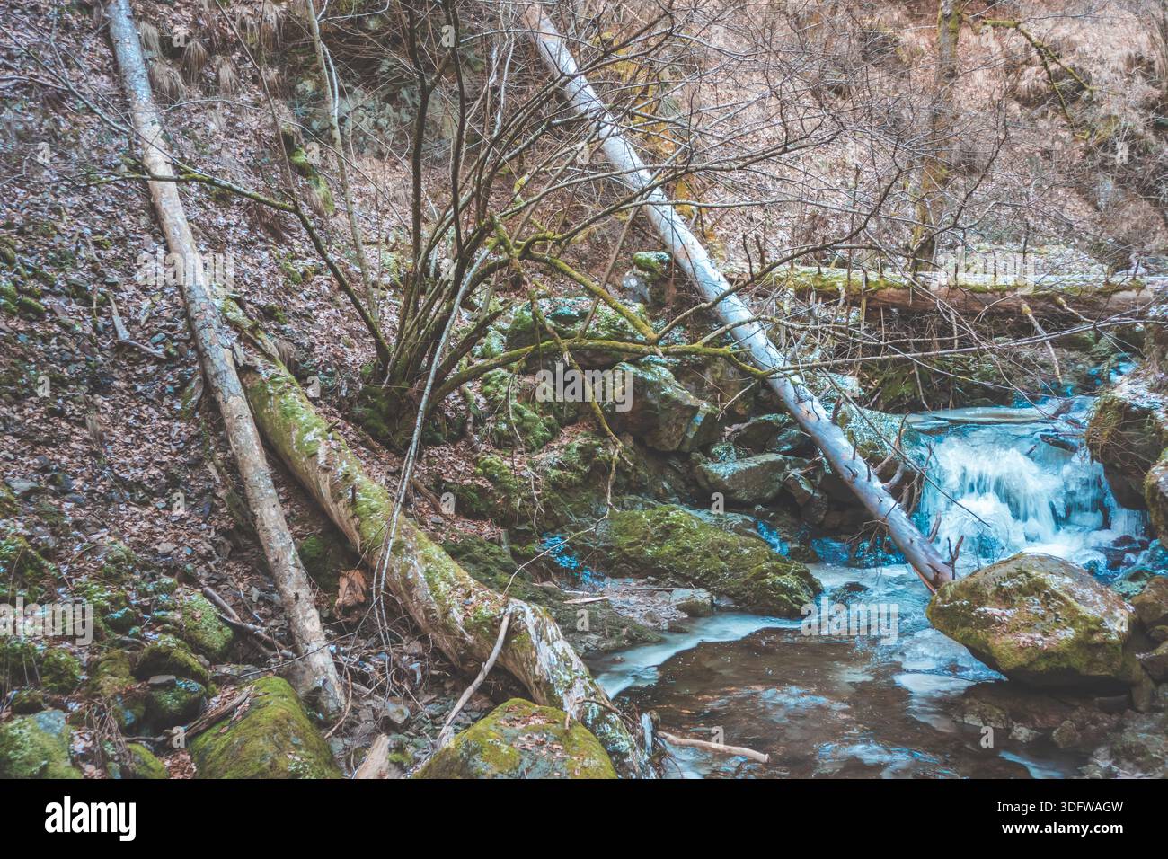 Gorgeous wild landscapes at the Ravenna Gorge in the Black Forest, Germany - Stock Image