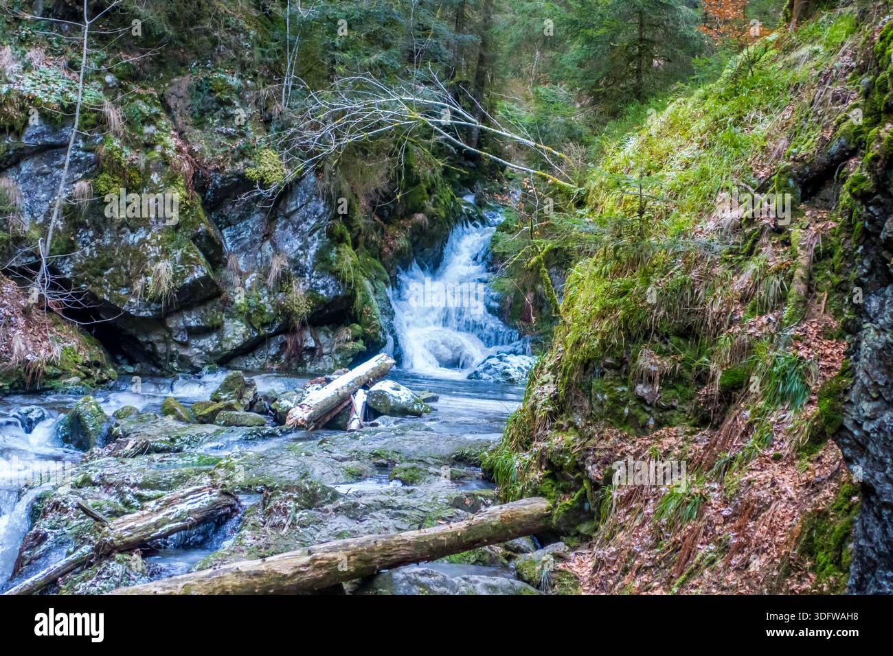 Gorgeous wild landscapes at the Ravenna Gorge in the Black Forest, Germany - Stock Image