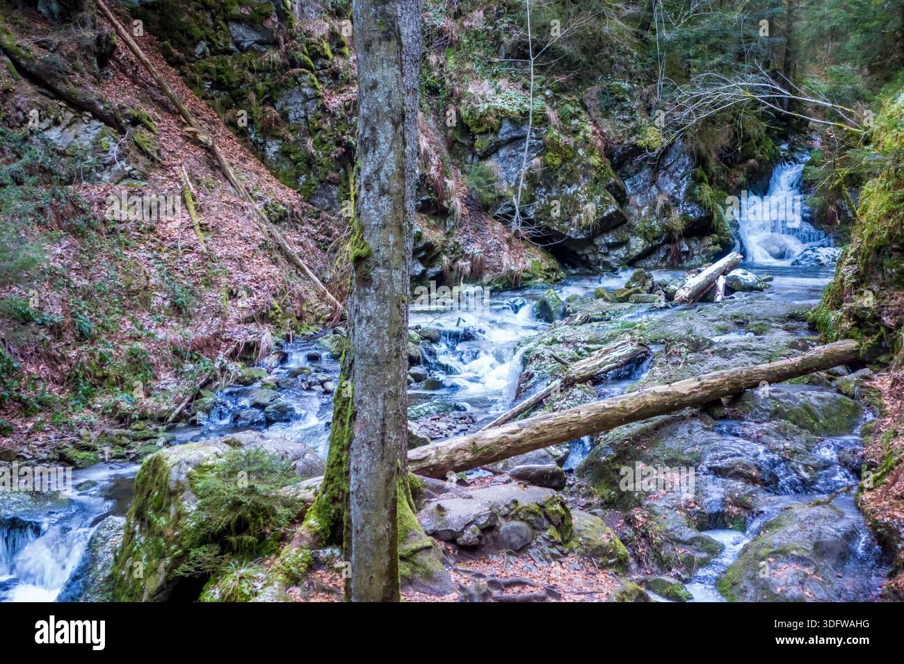 Gorgeous wild landscapes at the Ravenna Gorge in the Black Forest, Germany - Stock Image