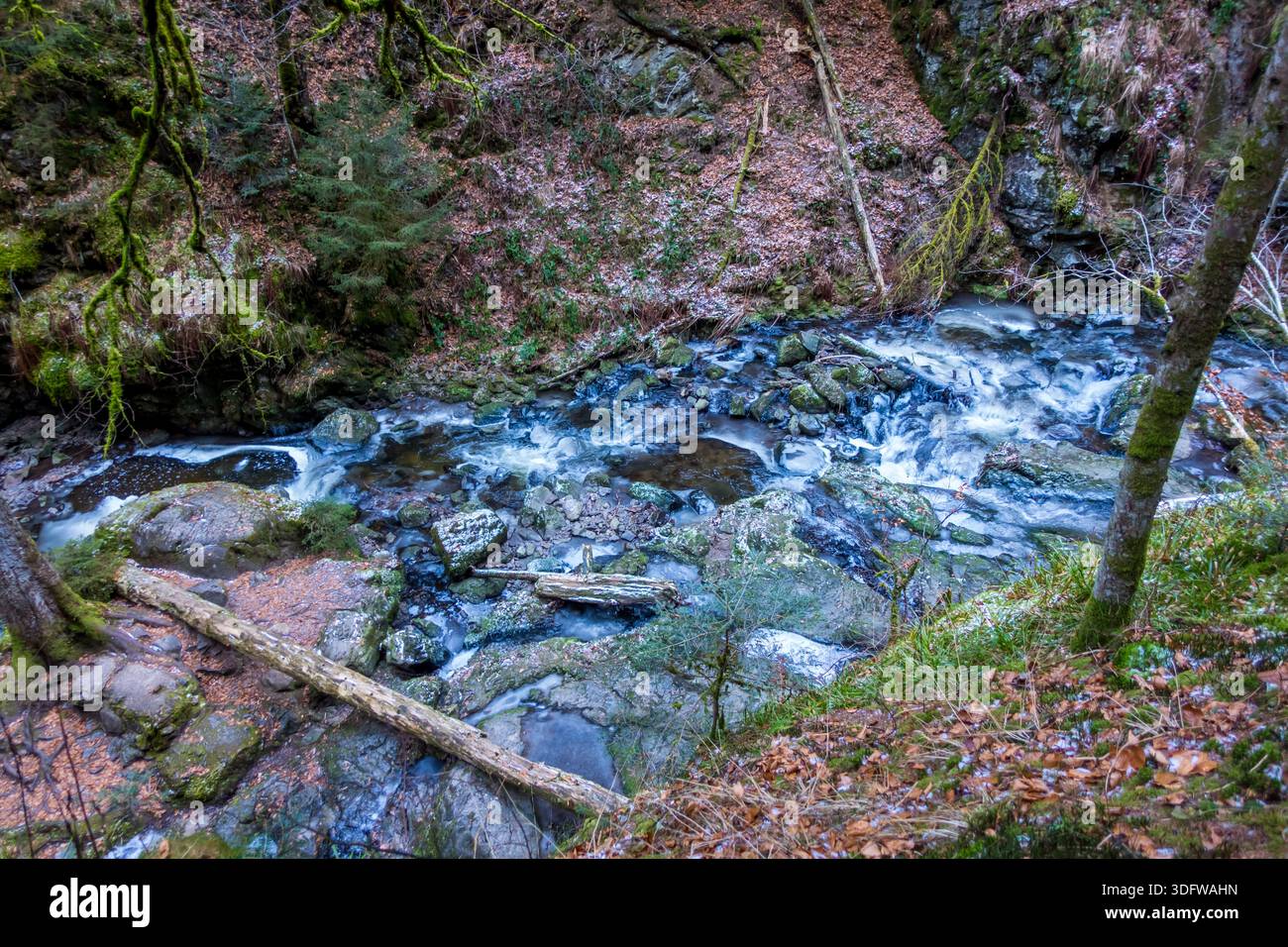 Gorgeous wild landscapes at the Ravenna Gorge in the Black Forest, Germany - Stock Image