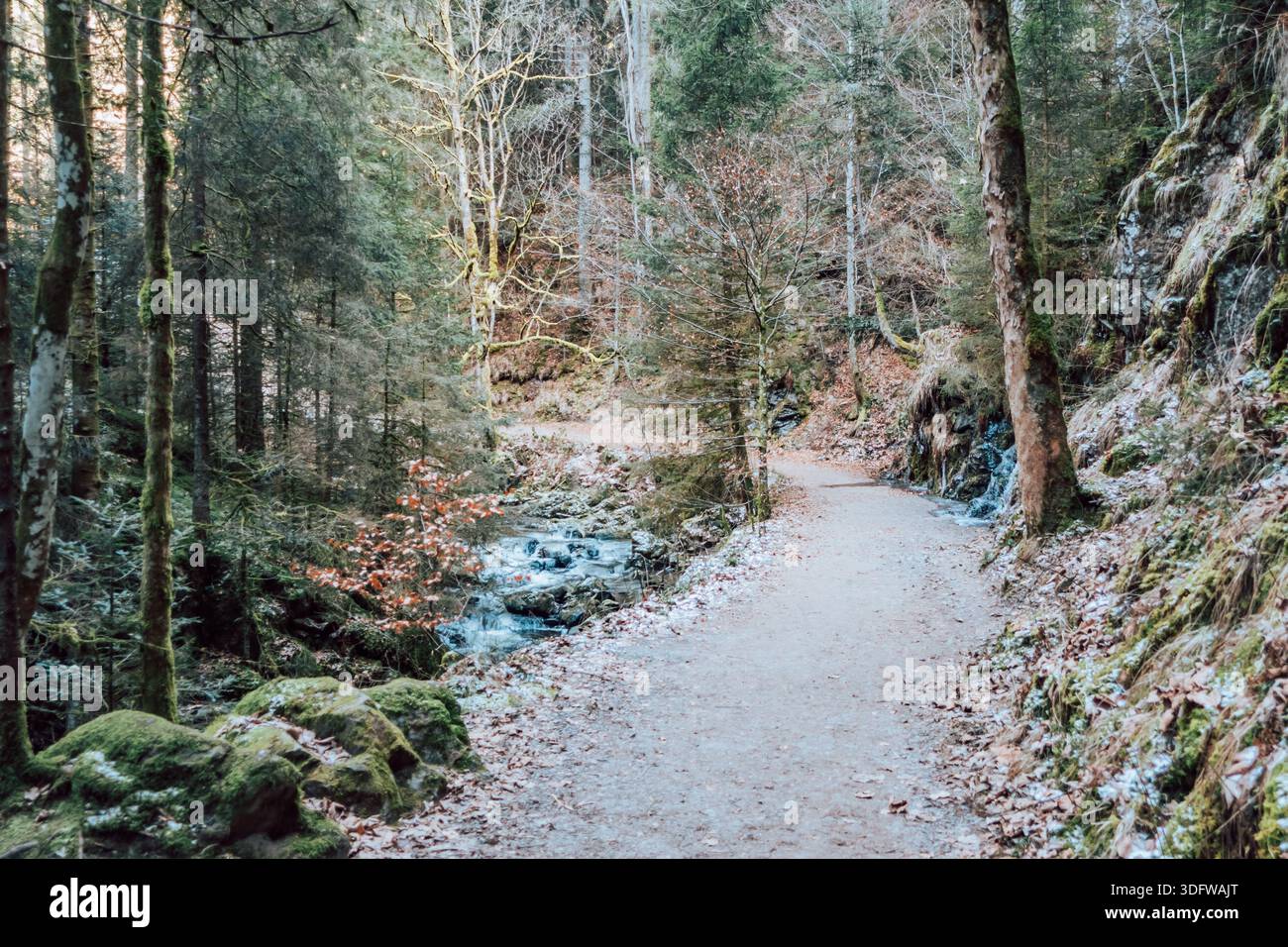 Gorgeous wild landscapes at the Ravenna Gorge in the Black Forest, Germany - Stock Image