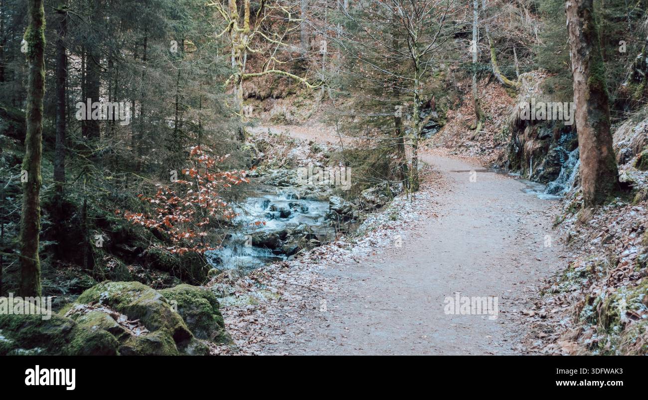 Gorgeous wild landscapes at the Ravenna Gorge in the Black Forest, Germany - Stock Image
