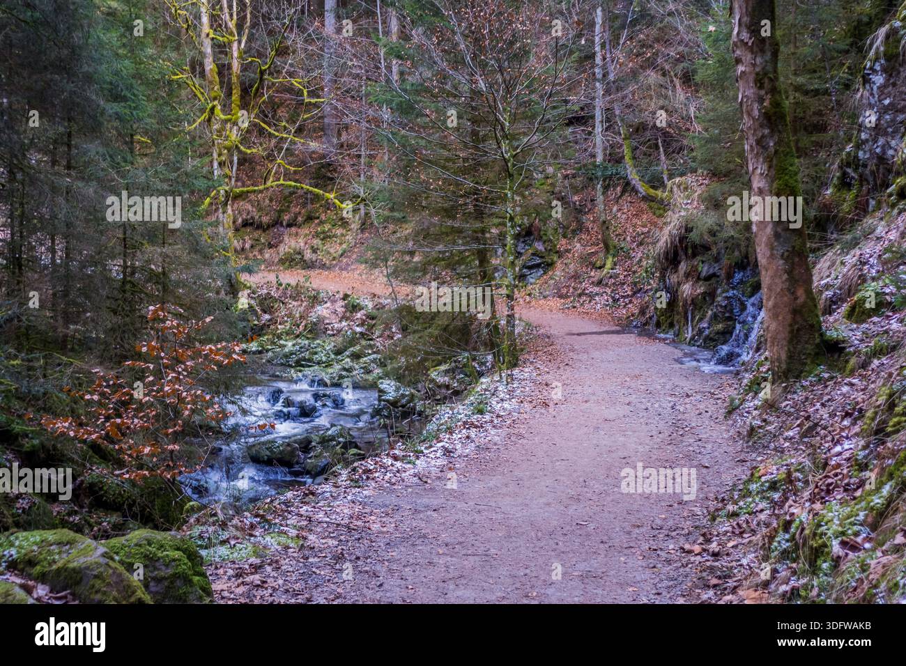 Gorgeous wild landscapes at the Ravenna Gorge in the Black Forest, Germany - Stock Image