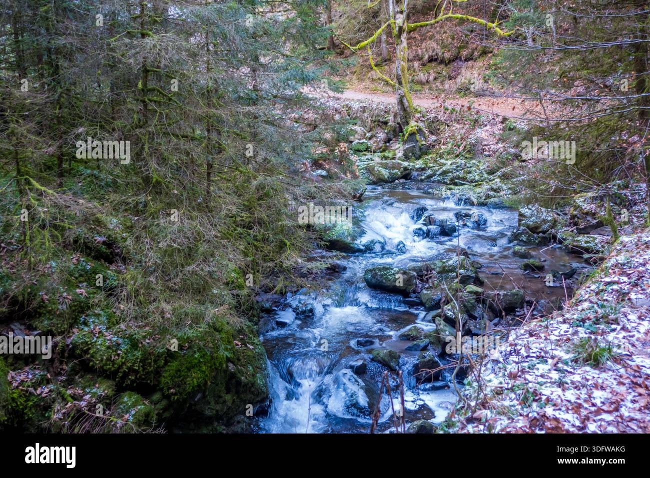 Gorgeous wild landscapes at the Ravenna Gorge in the Black Forest, Germany - Stock Image