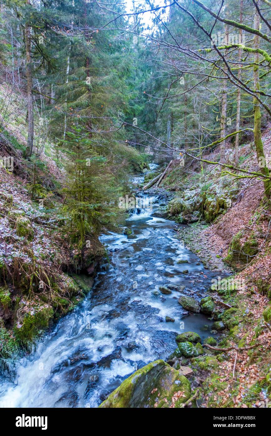 Gorgeous wild landscapes at the Ravenna Gorge in the Black Forest, Germany - Stock Image
