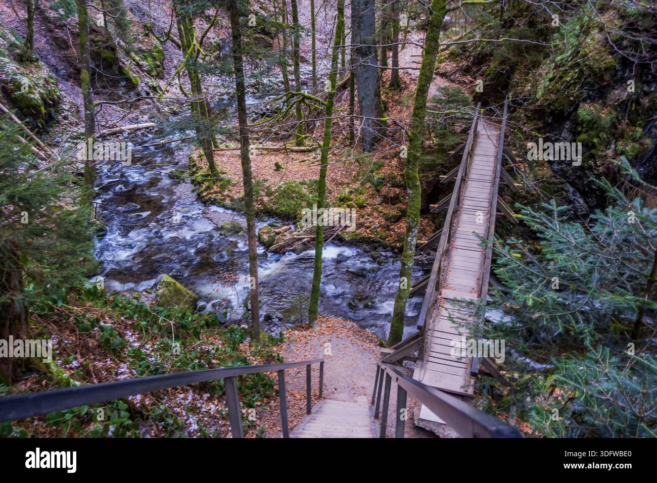 Gorgeous wild landscapes at the Ravenna Gorge in the Black Forest, Germany - Stock Image