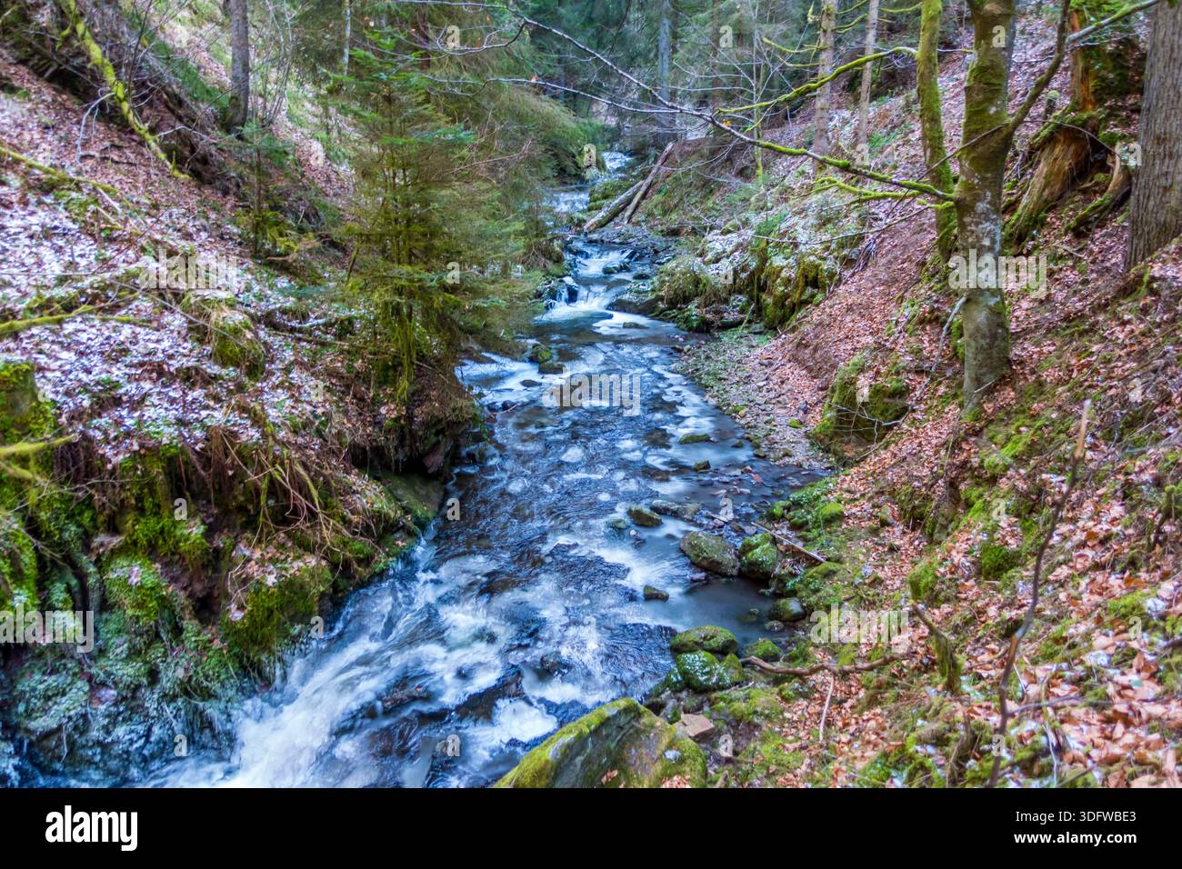Gorgeous wild landscapes at the Ravenna Gorge in the Black Forest, Germany - Stock Image