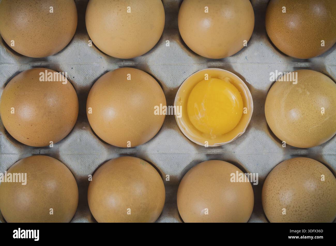 Beautiful fresh brown chicken eggs, closet in egg box Stock Photo