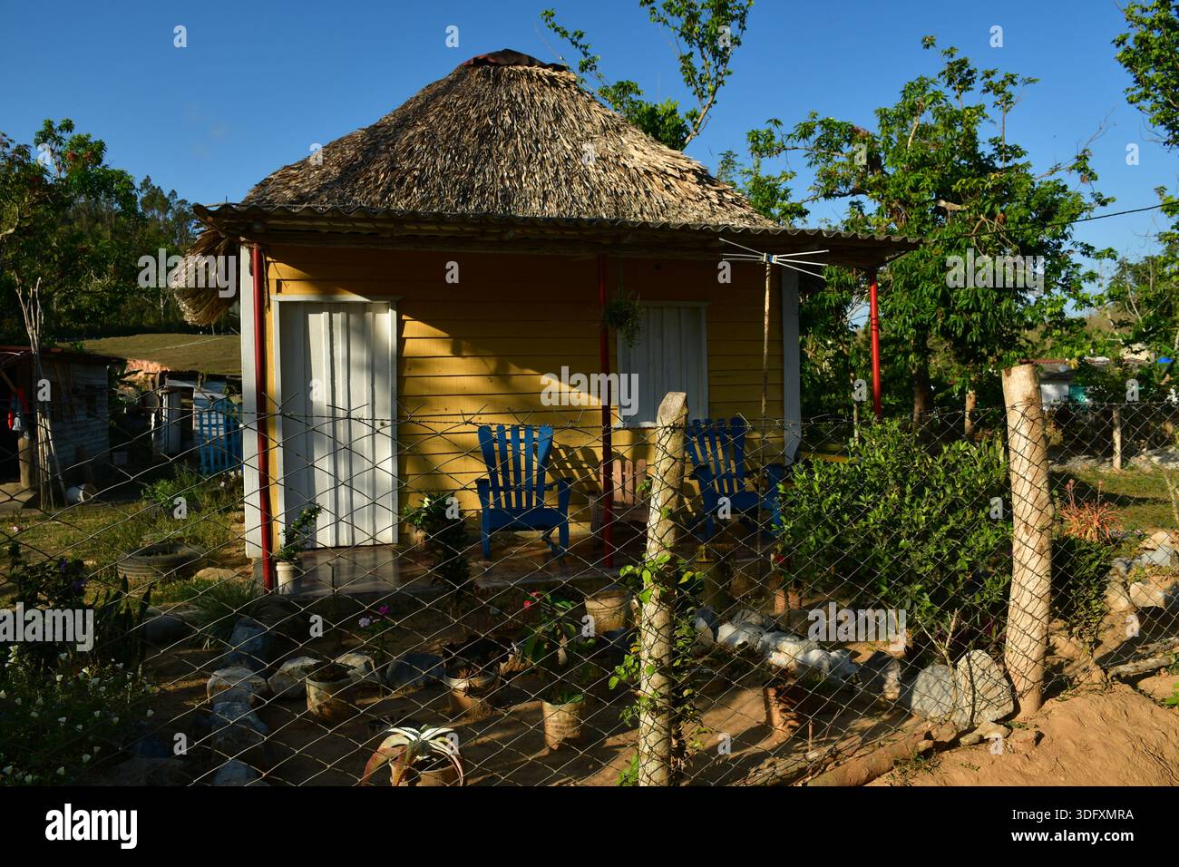 Small rural house with a thatched roof and front porch in the countryside near Viñales, Cuba Stock Photo