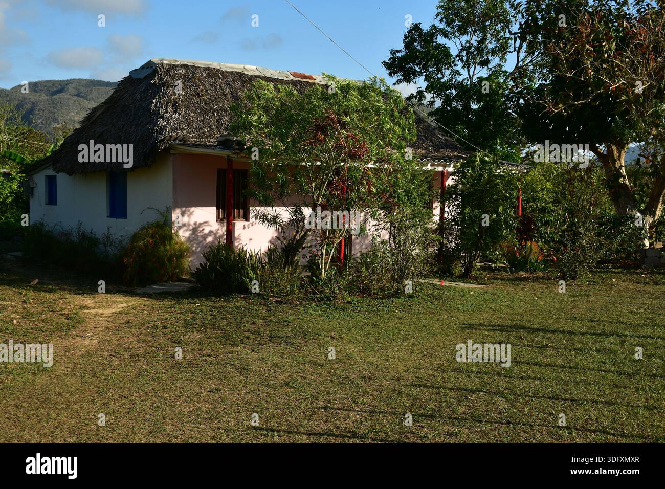 Small rural house with a thatched roof standing in open countryside near Viñales, Cuba Stock Photo