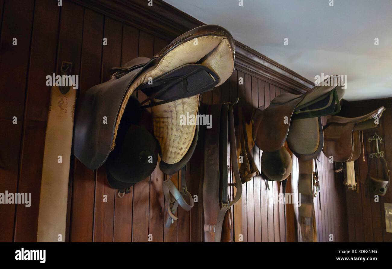 Saddles, hats and other horse riding equipment on wall Stock Photo