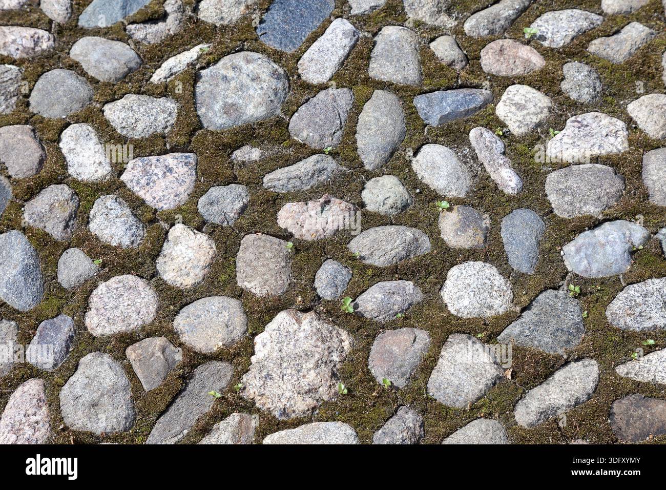 Old paved roadway as background closeup Stock Photo